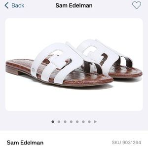 NWT Sam Edelman Bay Slides